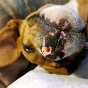 Meet your Posher, Sherry